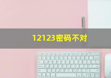 12123密码不对