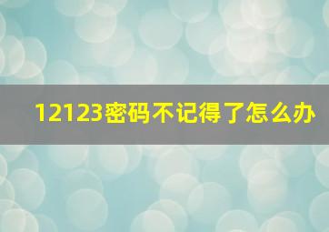 12123密码不记得了怎么办