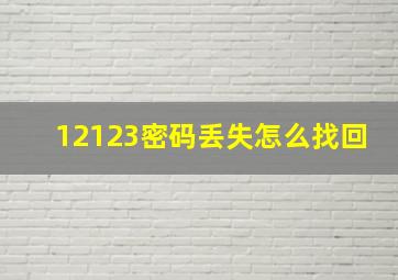 12123密码丢失怎么找回