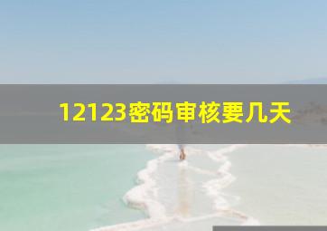 12123密码审核要几天