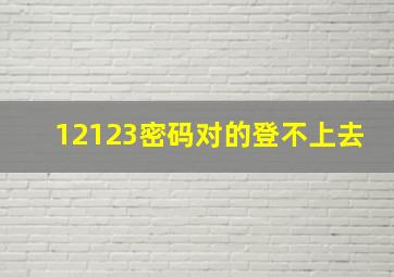 12123密码对的登不上去