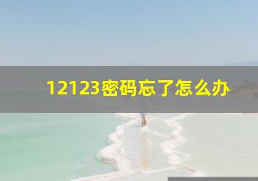 12123密码忘了怎么办