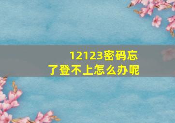 12123密码忘了登不上怎么办呢