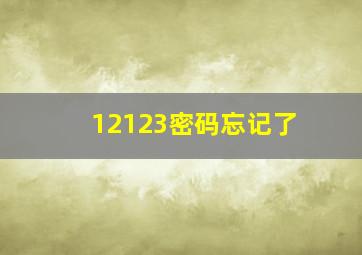 12123密码忘记了