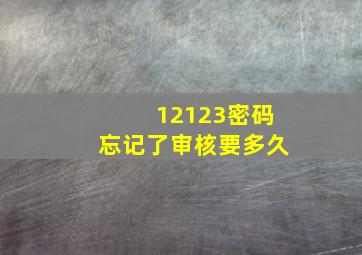 12123密码忘记了审核要多久