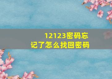 12123密码忘记了怎么找回密码