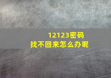 12123密码找不回来怎么办呢