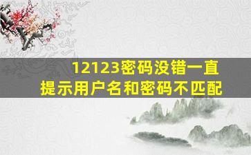 12123密码没错一直提示用户名和密码不匹配