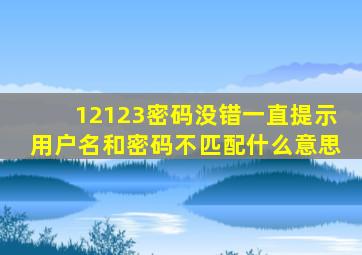 12123密码没错一直提示用户名和密码不匹配什么意思