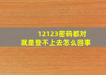 12123密码都对就是登不上去怎么回事