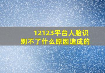 12123平台人脸识别不了什么原因造成的