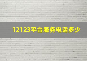 12123平台服务电话多少