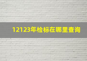 12123年检标在哪里查询