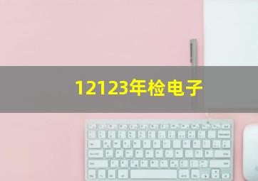 12123年检电子