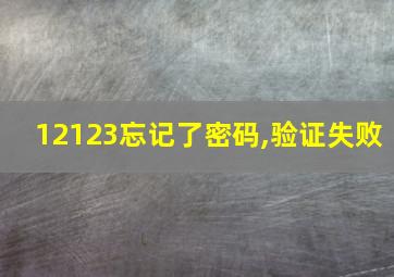 12123忘记了密码,验证失败