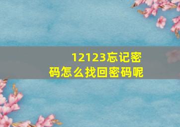 12123忘记密码怎么找回密码呢