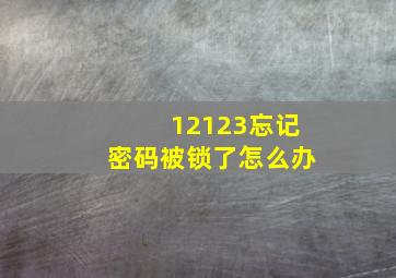 12123忘记密码被锁了怎么办