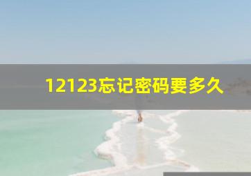 12123忘记密码要多久