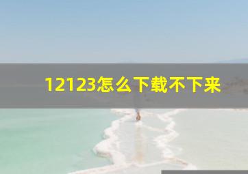 12123怎么下载不下来