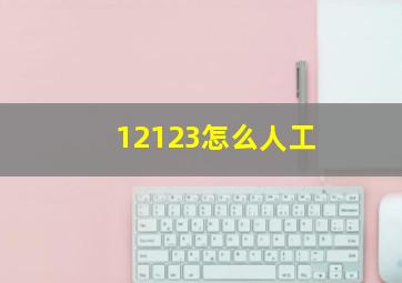 12123怎么人工