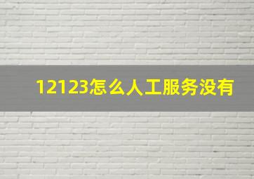 12123怎么人工服务没有