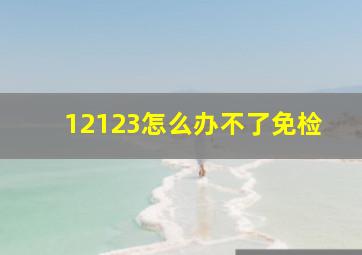 12123怎么办不了免检