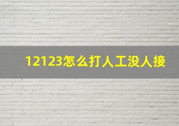 12123怎么打人工没人接