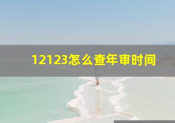 12123怎么查年审时间