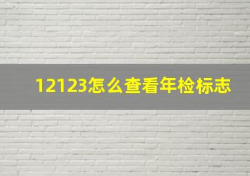 12123怎么查看年检标志