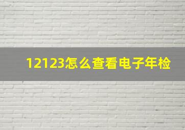 12123怎么查看电子年检