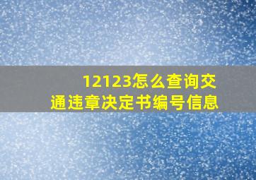 12123怎么查询交通违章决定书编号信息