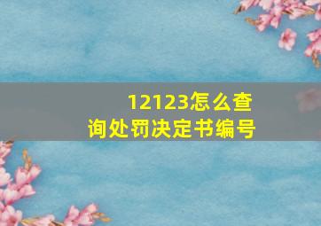 12123怎么查询处罚决定书编号