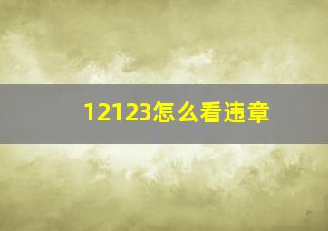 12123怎么看违章