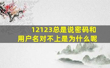 12123总是说密码和用户名对不上是为什么呢