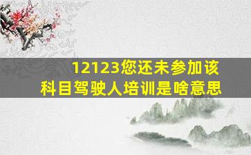 12123您还未参加该科目驾驶人培训是啥意思