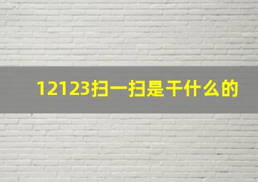 12123扫一扫是干什么的