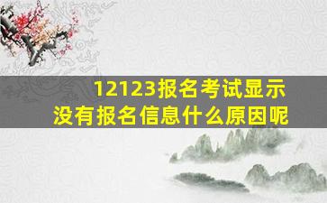 12123报名考试显示没有报名信息什么原因呢