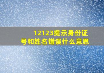 12123提示身份证号和姓名错误什么意思