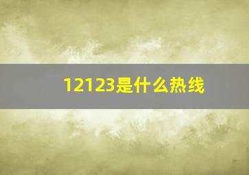 12123是什么热线