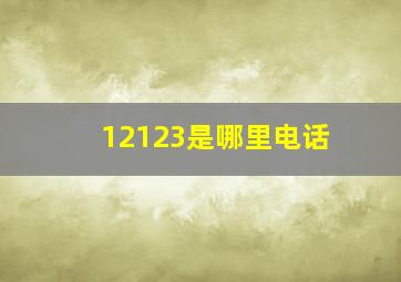 12123是哪里电话