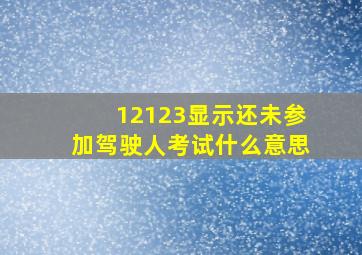 12123显示还未参加驾驶人考试什么意思