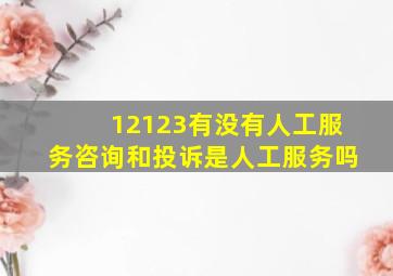 12123有没有人工服务咨询和投诉是人工服务吗