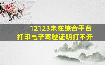 12123未在综合平台打印电子驾驶证明打不开