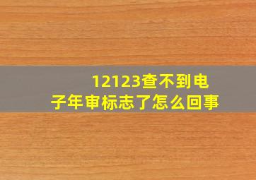 12123查不到电子年审标志了怎么回事