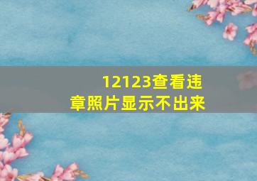 12123查看违章照片显示不出来