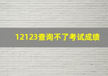 12123查询不了考试成绩