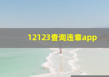 12123查询违章app