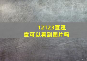 12123查违章可以看到图片吗