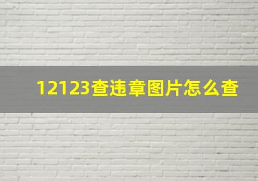 12123查违章图片怎么查