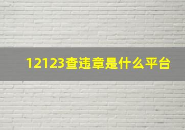 12123查违章是什么平台